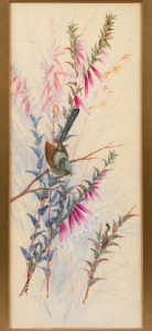 NEVILLE WILLIAM CAYLEY, JUNIOR (1886-1950), (untitled fairy wren and boronia), watercolour and gouache, signed lower left "Neville W. Cayley, '10", 41 x 17cm, 52 x 28cm overall