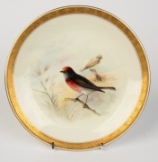 ROYAL WORCESTER set of four antique English hand-painted porcelain cabinets plates decorated with Australian birds, signed "AUSTIN", all titled on the reverse and retailed by Flavelle Brothers Ltd., puce factory mark to bases, 23cm wide - 6