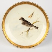 ROYAL WORCESTER set of four antique English hand-painted porcelain cabinets plates decorated with Australian birds, signed "AUSTIN", all titled on the reverse and retailed by Flavelle Brothers Ltd., puce factory mark to bases, 23cm wide - 8