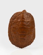 An unusual antique Japanese carved wooden inro in the form of a minogame turtle, Meiji period, 19th century, 10.5cm long - 3