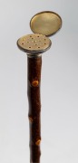 An antique walking stick with silver vinaigrette top inset with Wedgwood blue Jasper Ware medallion, on a blackthorn shaft with brass ferrule, 19th century, ​​​​​​​83cm high - 3