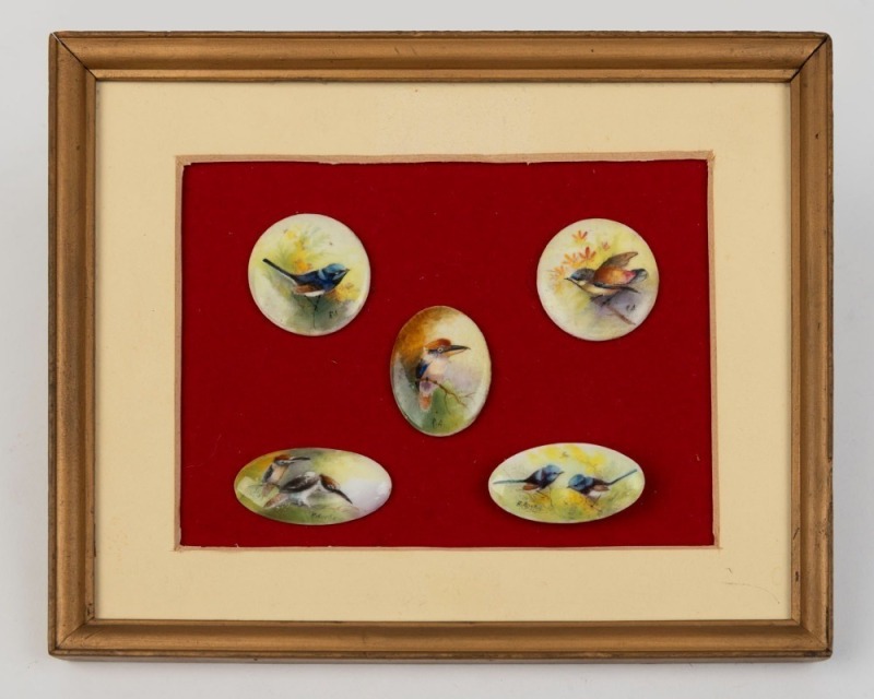 ROYAL WORCESTER five English porcelain miniature plaques hand-painted with Australian birds, all signed "R. Austin", circa 1920, framed and mounted, the largest 4cm wide