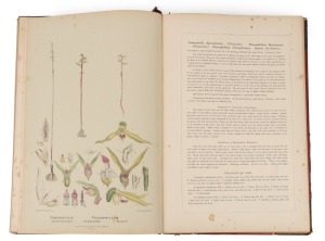 R.D. FITZGERALD, "AUSTRALIAN ORCHIDS", [Sydney, Thomas Richards, Government Printer, 1875 - 1894], 12 parts (all published) in two vols. dated 1882 and 1894, dedicated to the memory of Charles Darwin.. Large folio, in contemporary but non-matching binding