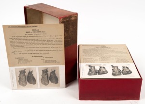 WATERSTON & BURNET: Extensive set of stereo cards in cloth-lined box titled 'Edinburgh Stereoscopic Atlas of Anatomy', each with accompanying descriptive notes.