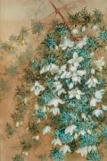 MARIAN ELLIS (ELLIS) ROWAN (1848-1922), (untitled white blossoms), watercolor and gouache, signed upper right "Ellis Rowan", 54 x 37cm, 75 x 50cm overall - 2
