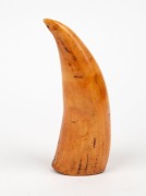 TABUA&nbsp;Fijian chieftain's antique whale's tooth pendant, 19th century, 15cm long - 2