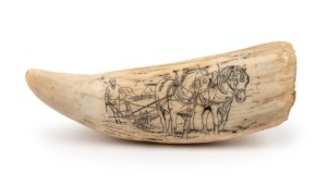 A scrimshaw whale's tooth engraved with farming scene, 16.5cm long