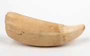 A scrimshaw whale's tooth engraved with farming scene, 16.5cm long - 2
