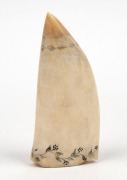 A scrimshaw whale's tooth engraved with tallship and floral border, 15cm long - 2