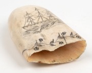 A scrimshaw whale's tooth engraved with tallship and floral border, 15cm long - 3