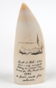 A scrimshaw whale's tooth engraved with tallship titled "LADY SHORE, 1797", 13.5cm long - 2