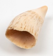 A scrimshaw whale's tooth engraved with whaling scene, 13cm long - 3
