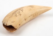 A scrimshaw whale's tooth engraved with two views of a tallship, 15.5cm long - 3