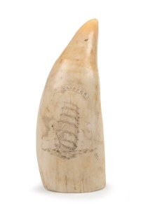 A scrimshaw whale's tooth engraved with a tallship titled "CLIPPER", 13cm long