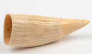 A scrimshaw whale's tooth engraved with a tallship titled "CLIPPER", 13cm long - 2