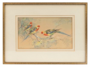 VIOLET ADA BARTLETT (1880-1976), (three rosellas), watercolour, signed lower left "Artzh", 14 x 25cm, 28 x 38cm overall