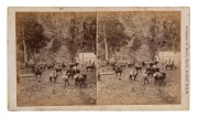 [YARRANGOBILLY CAVES] CHARLES KERRY. Two stereoview cards, circa 1891, each pair of images approx. 94 x 158mm, mounted on original red-backed cards with gilt printed titles "Peeps in Sunny New South Wales. Stereoscopic Series. Photographed and Published b