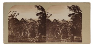 MORTON ALLPORT (1830-1878). Stereoview card with a pair of albumen paper photographs, each approx. 74 x 70mm laid down on a grey fronted card; annotated verso by the photographer, "From Carry's Peak near Hobart Town. Morton Allport Photo - 1861". Morton Allport was one of Tasmania's earliest photographers.