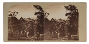 MORTON ALLPORT (1830-1878). Stereoview card with a pair of albumen paper photographs, each approx. 74 x 70mm laid down on a grey fronted card; annotated verso by the photographer, "From Carry's Peak near Hobart Town. Morton Allport Photo - 1861". Morton A