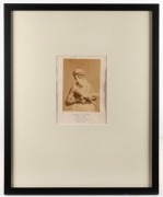 An albumen paper portrait photograph laid down on a title page from the book "Australian Aborigines" by James Dawson, 1881; the striking image depicts "KAAWIRN KUUNAWARN" (Hissing Swan), Chief of the Kirrae Wuurong people of the Mortlake District in Gipps - 2