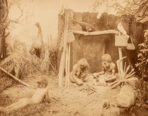 A group of five photographic images of Australian Aborigines depicting a family group, a group pausing during food gathering, a group outside their humpy, and two portraits; circa 1890s-1900s; the largest 19 x 24cm. (5 items).