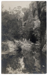 POSTCARDS: EDMUND WILLIAM MOBERLY (1871-1925), BLACKHEATH, BLUE MOUNTAINS collection of twenty real-photo postcards (by "Empire"), each with a neat pen-written title at base, believed to be in the hand of Reverend Edmund Moberly, circa 1905-10. It appears that these were prepared for a Miss Cecil Giles, of "Rosecourt", Burnside, whose name and address details have been written on the back of each card. (20).