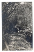 POSTCARDS: EDMUND WILLIAM&nbsp;MOBERLY (1871-1925), BLACKHEATH, BLUE MOUNTAINS&nbsp;collection of twenty real-photo postcards (by "Empire"), each with a neat pen-written title at base, believed to be in the hand of Reverend Edmund Moberly, circa 1905-10. It appears - 2