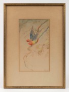 VIOLET ADA BARTLETT (1880-1976), (rosella with wings aloft), watercolour, signed lower right "Artzh", 23 x 14cm, 38 x 28cm overall