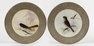 ROYAL WORCESTER "Jacky Winter" and "Willy Wagtail" hand-painted English porcelain cabinet plates with quaker grey borders, signed "R. AUSTIN", puce factory mark to bases, 23cm diameter