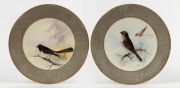 ROYAL WORCESTER "Jacky Winter" and "Willy Wagtail" hand-painted&nbsp;English porcelain cabinet plates with quaker grey borders, signed "R. AUSTIN", puce factory mark to bases, 23cm diameter