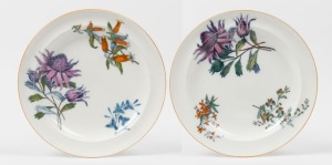 WEDGWOOD "Australian Flora" pair of antique English porcelain plates, Staffordshire England, circa 1880, stamped "Australian Flora" and impressed "WEDGWOOD", 25cm diameter