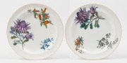 WEDGWOOD "Australian Flora" pair of antique English porcelain plates, Staffordshire England, circa 1880, stamped "Australian Flora" and impressed "WEDGWOOD", 25cm diameter