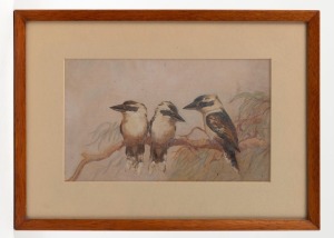 ARTIST UNKNOWN, (three kookaburras on a branch), gouache on paper, signed lower right (illegible), 14 x 23cm, 24 x 34cm overall