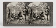 A group of Keystone and Underwood stereoview cards, all depicting Australian Aboriginal subjects, circa 1900. (5, incl. one duplicate).