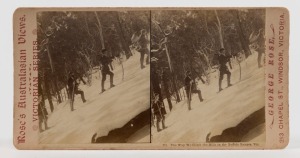 GEORGE ROSE, four stereoview cards, circa 1900, each pair of images approx. 85 x 140mm, mounted on original cards with printed and dated 1894 Geo. Rose copyrights or his Chapel Street Windsor address; these are all from a numbered series with printed descriptions below the image: : "695. The Gorge Under Snow..", "705. Right Wall of Gorge..", "711. The Way we Climb the Hills..", and "719. Egg Rock (Winter), Buffalo Ranges, Vic.". (4).