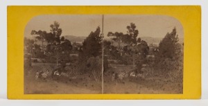 [TASMANIA : MORTON ALLPORT] Two stereoview cards, each bearing a pair of albumen paper print photographs of the artist, Mary Morton Allport in the garden at their home, Aldridge Lodge, Hobart Town, circa 1860s. One card annotated verso "From the Garden, A