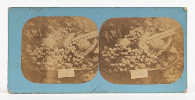 MORTON ALLPORT (1830-1878). Stereoview card "TASMANIAN FRUIT", pair of albumen paper photographs, each approx. 65 x 75mm and mounted on a blue-faced card overall 83 x 173mm; annotated verso "Tasmanian Fruit. Morton Allport Photo. 1861." Evidently depictin