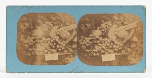 MORTON ALLPORT (1830-1878). Stereoview card "TASMANIAN FRUIT", pair of albumen paper photographs, each approx. 65 x 75mm and mounted on a blue-faced card overall 83 x 173mm; annotated verso "Tasmanian Fruit. Morton Allport Photo. 1861." Evidently depicting an exhibit at a Show, the basket bears a label headed "Prize Fruit".