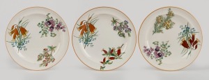 WEDGWOOD "Australian Flora" set of three antique English porcelain plates, Staffordshire England, circa 1880, impressed "WEDGWOOD", 25cm diameter