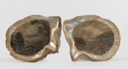 Two antique Australian folk art hand-painted pearl shells with coastal scenes, 19th century, 19cm wide