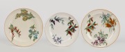 WEDGWOOD "Australian Flora" three antique English porcelain plates in two sizes, Staffordshire England, circa 1880, impressed "WEDGWOOD", 23cm and 20.5cm diameter