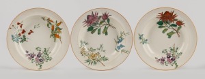 WEDGWOOD "Australian Flora" set of three antique English porcelain bowls, Staffordshire England, circa 1880, impressed "WEDGWOOD", 24.5cm diameter
