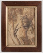 &nbsp;ALVAH EARLINGTON ROSEBRAY (1880-1913), koala and&nbsp;goanna in a gumtree, watercolour, signed lower left "A.&nbsp;Earlington Rosebray,&nbsp;N.S.W. &lsquo;36", 37&nbsp;x 27cm, 50 x 40.5cm overall, &nbsp;ROSEBRAY&nbsp;was a&nbsp;popular watercolourist of Australian fauna, exhibited at the Royal 