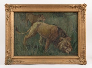 MABEL BARLING (1881-1960),, Lions at Taronga Park Zoo, Sydney, 1930, oil on board, signed lower right "M. Barling", 37 x 52cm, 51 x 68cm overall