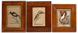 JOHN MITCHELL CANTLE (1849-1919), I.) Kookaburra, II.) Magpie, watercolours. Together with a watercolour of an Australian Cockatoo by an unknown artist. Postcard size, the largest 23 x 18cm overall