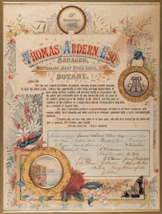 THOMAS ARDERN. ESQ. MANAGER AUSTRALIAN JOINT STOCK BANK LTD. attractive hand-painted illuminated certificate of appreciation from some of the residents of Botany, dated 13th November 1897, decorated with waratah and flannel flowers and adorned with vignette view of Sydney Heads. By JOHN SANDS, GEORGE ST. SYDNEY. Housed in remains of original gilt card mount, (lacks frame), 46 x 35cm