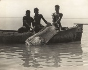 [AUSTRALIAN ABORIGINALS]. A group of photographs, various sizes and unknown photographers, circa 1900 - 1920s; including two fine studies of men making fire, fishermen hauling a giant grouper fish into their canoe, men with spears and boomerangs, a family