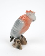 ROYAL DUX "Major Mitchell's Cockatoo" Czechoslovakian porcelain statue, 20th century, pink triangle mark to base, 18cm high - 2