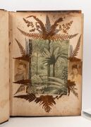 "NEW ZEALAND FERNS" by ERIC CRAIG, circa 1880. A stunning tome of pressed New Zealand fern specimens attractively displayed and captioned. Title page includes Maori cartes-de-visite portraits and lithograph view "SCENE IN TIKITAPU BUSH NEAR OHINEMUTU". Re - 5