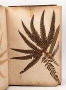 "NEW ZEALAND FERNS" by ERIC CRAIG, circa 1880. A stunning tome of pressed New Zealand fern specimens attractively displayed and captioned. Title page includes Maori cartes-de-visite portraits and lithograph view "SCENE IN TIKITAPU BUSH NEAR OHINEMUTU". Re - 6
